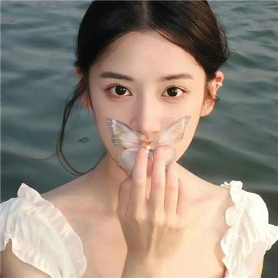 孤夜寻凶